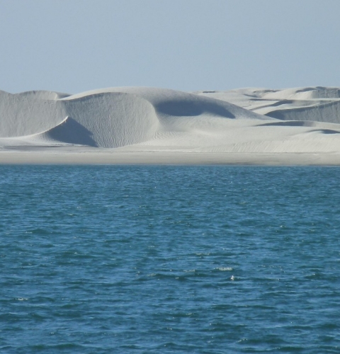 沙漠，也會(huì)發(fā)洪水？